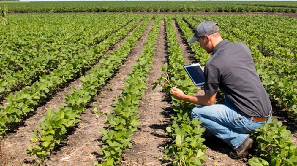 CAMPANIA ECONOMY - Oscar Green, giovani talenti dell'agricoltura