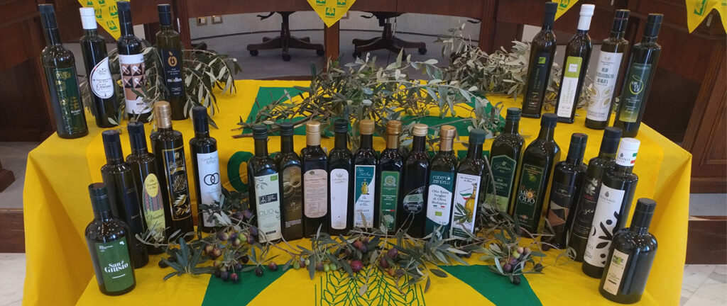 CAMPANIA ECONOMY - L’olio della Campania punta in alto