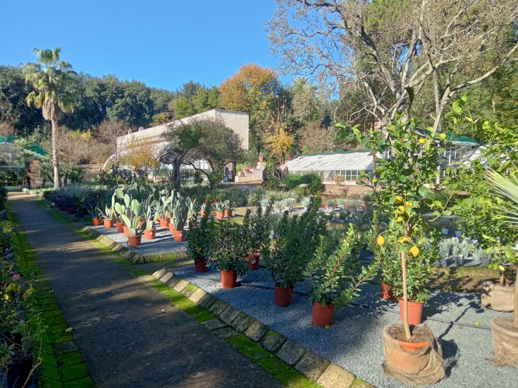CAMPANIA ECONOMY - Serre di Graefer aperte il 2 marzo