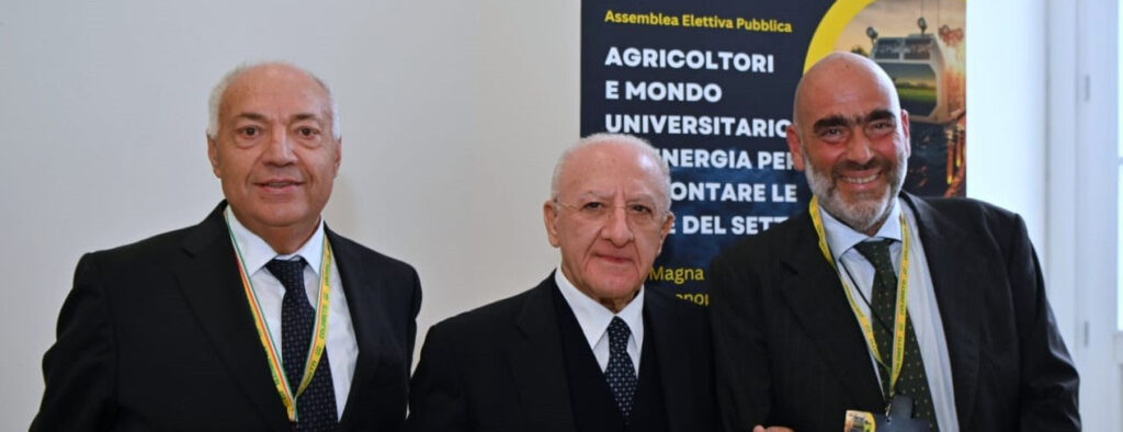 CAMPANIA ECONOMY - Piano olivicolo regionale