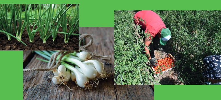 CAMPANIA ECONOMY - Progetto TANkAGE giunge al termine