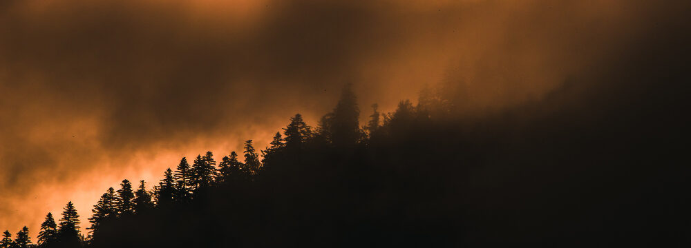 CAMPANIA ECONOMY - 72  milioni contro gli incendi